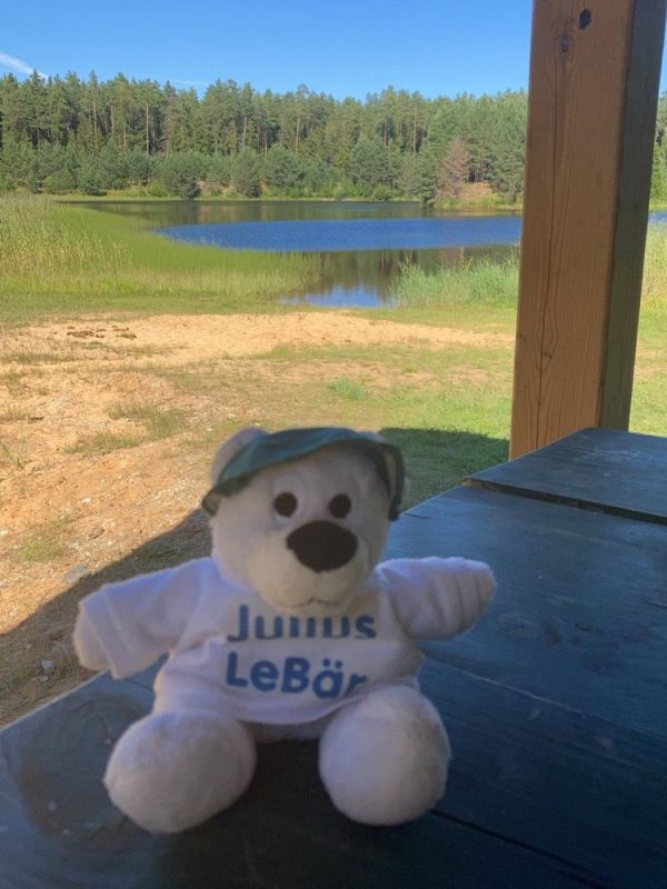 Bild Teddybär Julius LeBaer